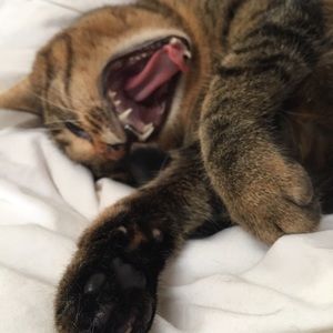 Meet your Posher, Cecile